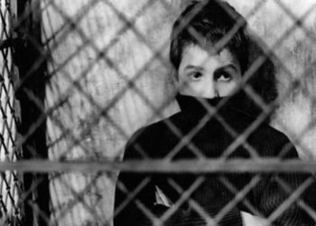 640x 73960f53e9759466800e8a6cf75842ffed5e95030b9a5d47f64b470544c54478