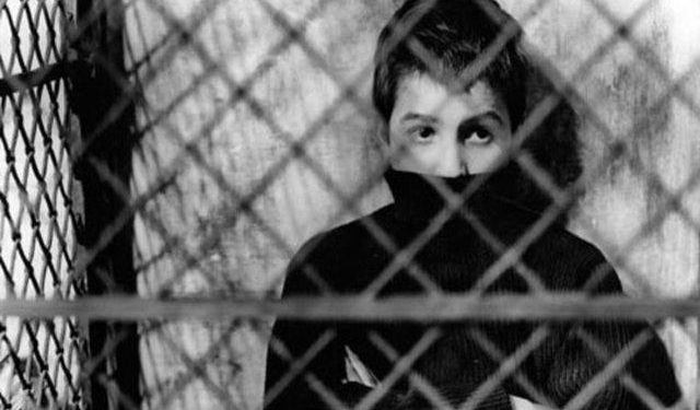 640x 73960f53e9759466800e8a6cf75842ffed5e95030b9a5d47f64b470544c54478