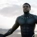 brody passionate politics black panther jpg 15931336620505661
