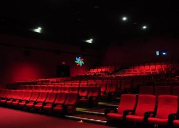 carnival 900 01 540x268 1