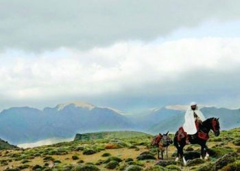 medium 2018 08 11 a3745299ea