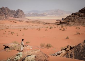 theeb 2