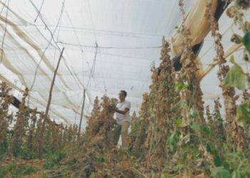 9654591721540838153