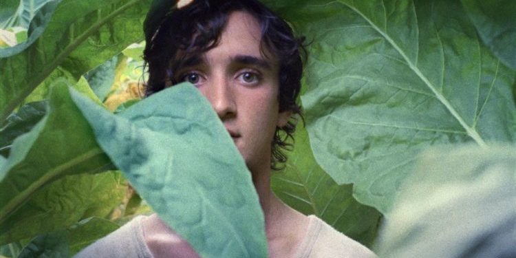 Happy As Lazzaro 750x422