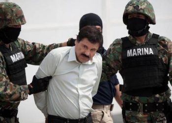 78 132025 elchapo artist famous movie biography 700x400
