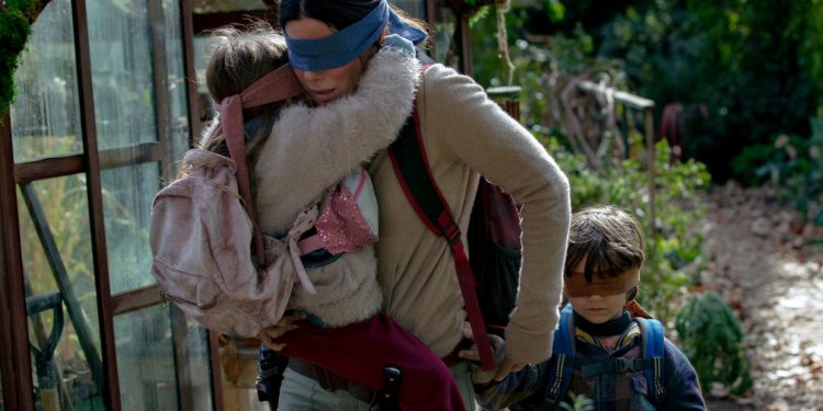 bird box 1280x620