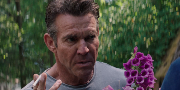 Screen Shot 2018 11 19 at 11.06.33 AM