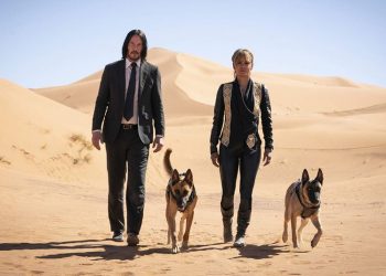 uploads2Fstory2Fthumbnail2F962542F64956100 506e 4098 a2d9 377db9f6db12.jpg2F950x534