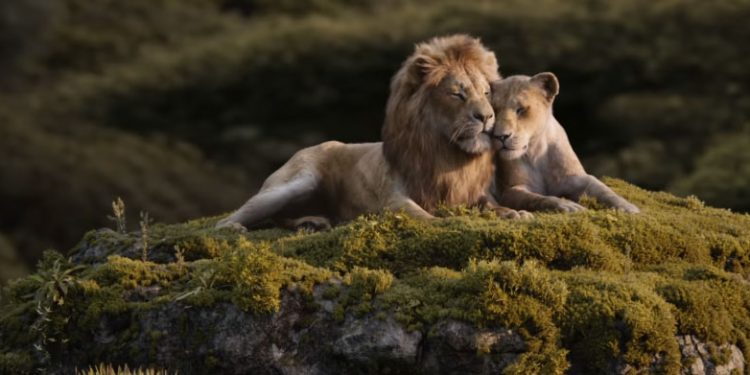 thelionking adultsimba nala rock