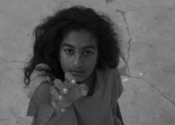 16308550751570277643