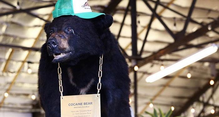 78 192045 cocaine bear film 700x400