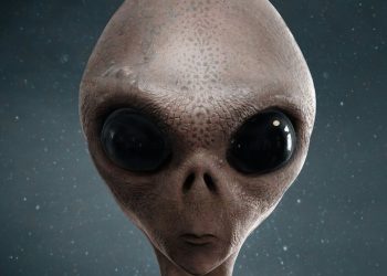 95806945 gettyimages 590147780