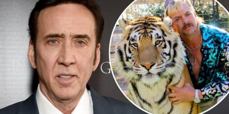 78 000712 nicolas cage tiger king scrapped amazon 700x400
