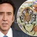 78 000712 nicolas cage tiger king scrapped amazon 700x400