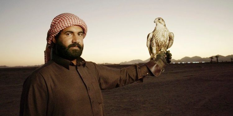 حلفاء الطبيعة