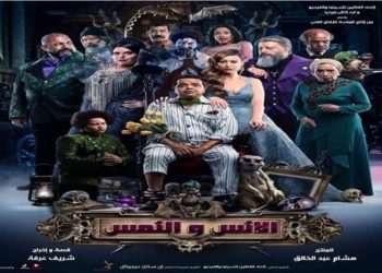 فيلم الأنس والنمس