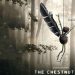 THE CHESTNUT MAN SEASON 2 RELEASE DATE 11zon