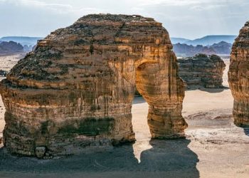 images 2022 01 15T132724.593