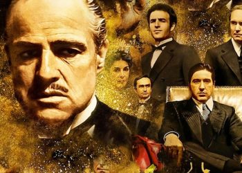 177692Image1 775x445 d