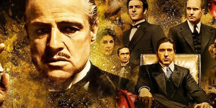 177692Image1 775x445 d