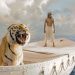 فيلم Life of Pi e1654608026211