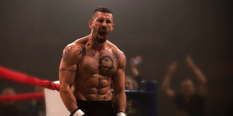 بويكا e1657093331767