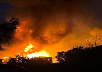 حارة العدلية e1661378348777