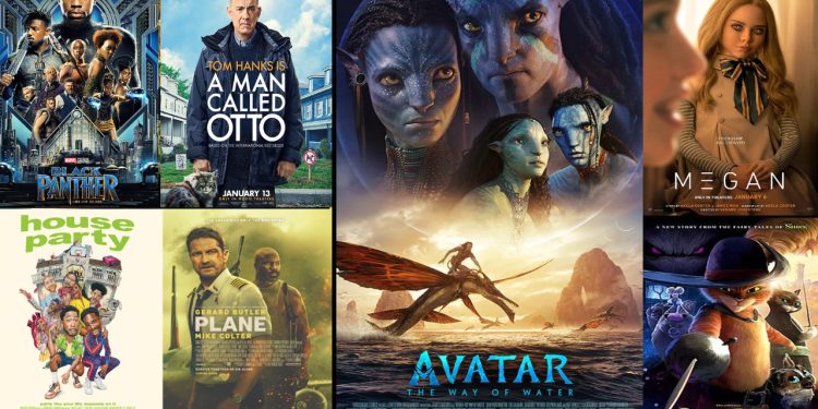 IMG 20230117 WA0005 e1673938773827