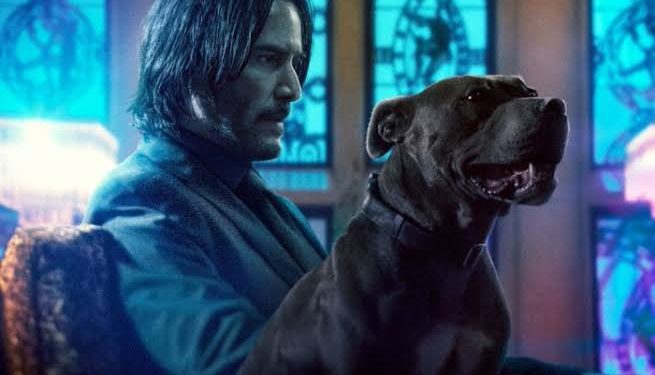 ٢٠٢٣٠٤١٧ ٢٢٠٣٤٢