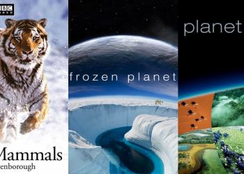 هيدر الموقع 8