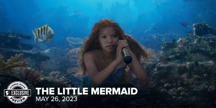 ٢٠٢٣٠٥٢٥ ١١١٣٤٠