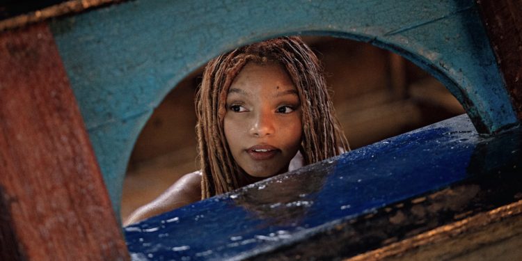 ٢٠٢٣٠٦١٠ ٠١١٦٣٠