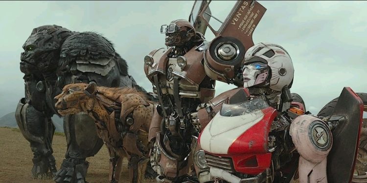 ٢٠٢٣٠٦٢٠ ١٠٣٣٥١