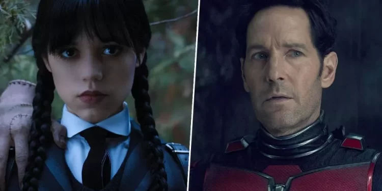 Dj5zVm8gdcYWnPhHZVvUH 970 80.jpg