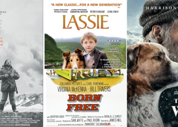 هيدر الموقع