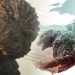 images 13