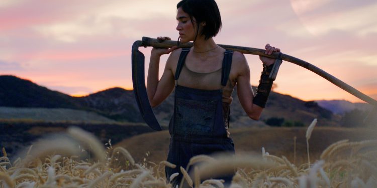 MV5BNzE1MGNlYzMtMmJlYi00MDlkLWE4NjAtODQ3OGFhMzQwODBkXkEyXkFqcGdeQWFybm8@. V1  scaled