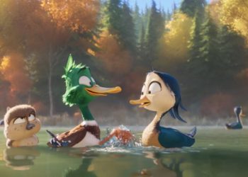 ٢٠٢٣١٢٠٤ ٠٨٢٢٣٣