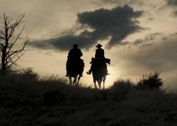 ٢٠٢٤٠١٠٥ ١١٤٤٤١