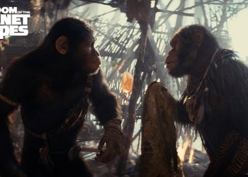 ٢٠٢٤٠١١٣ ٠٠١٩٠١