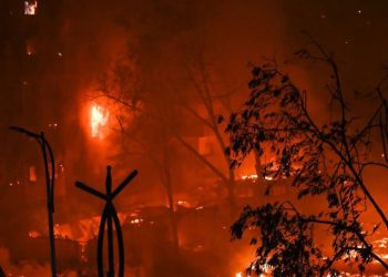 IMG ٢٠٢٤٠٣١٦ ١٥٠٨٠٤