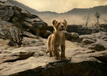 ٢٠٢٤٠٤٠٨ ٠٠٥٢٤٦