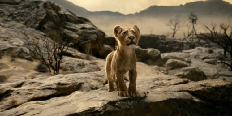 ٢٠٢٤٠٤٠٨ ٠٠٥٢٤٦