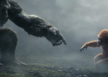 ٢٠٢٤٠٤١٣ ٠٠٢٥٠٢ scaled