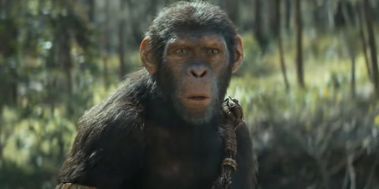 ٢٠٢٤٠٤٢٦ ٢٣٠٠٥٣