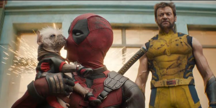 ٢٠٢٤٠٤٢٨ ٠٩٥٢٥٦