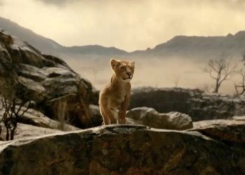 ٢٠٢٤٠٤٢٩ ٠١١٢٠٩