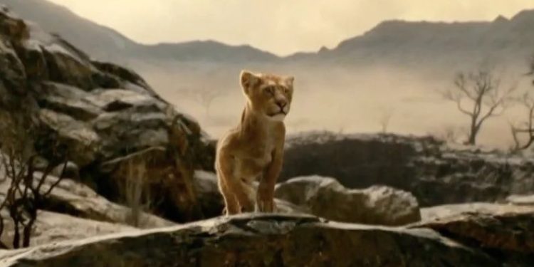 ٢٠٢٤٠٤٢٩ ٠١١٢٠٩