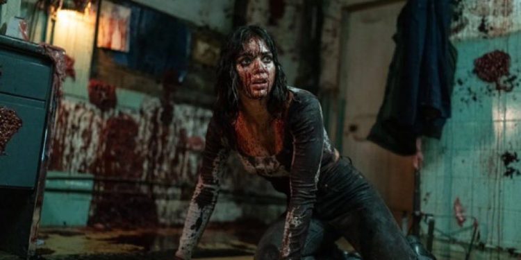 ٢٠٢٤٠٥١٣ ١٠٠١١٤