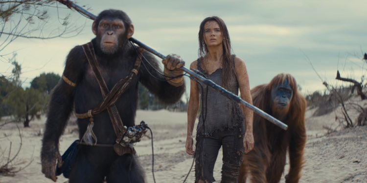 ٢٠٢٤٠٥١٤ ٠٣٠٨١٨